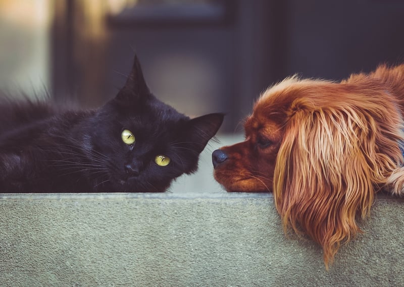 Friendship